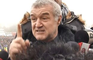 UPDATE Talpan îi strică bucuria lui Gigi Becali, după verdictul de azi al Curții de Apel: "Eu cred că noi am câștigat"