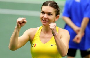 Simona Halep a decis cum să se împartă banii din Fed Cup! » Premii uriașe oferite de ITF