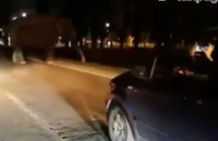 VIDEO Elefant scăpat în oraș! A blocat traficul în Milano