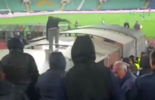 VIDEO Suporterul care a sărit să-l bată pe Cosmin Moți și-a aflat pedeapsa