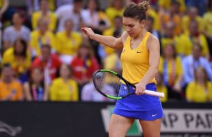 FED CUP, FRANȚA - ROMÂNIA 3-2 // VIDEO + FOTO Planul de maestru prin care Julien Benneteau a scos-o pe Simona Halep din ritm! L-a dezvăluit abia acum