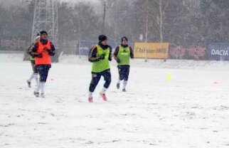 Mircea Sandu: "Să nu se amîne returul! Lăsaţi cluburile să cureţe terenurile"