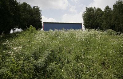 Sezonul începe pe Ghencea sau pe Naţional! Duckadam explică cum ar putea reveni Steaua pe arena sa tradiţională