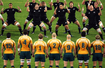 Tri-Nations: Australia cîştigă acasă în faţa Africii de Sud