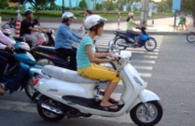 Zebra vietnameză