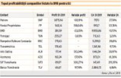 Sectorul petrolier, cel mai profitabil de la Bursa la jumatatea anului