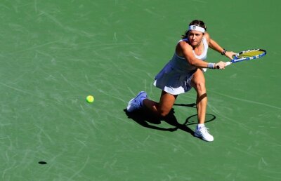 Niculescu şi Dulgheru se duelează azi a US Open. Pe cine pariezi?