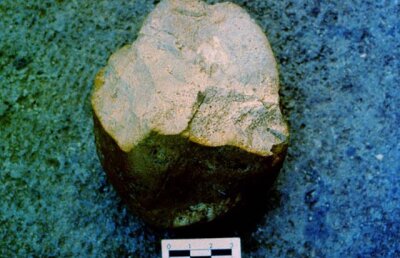 Oamenii au fost inteligenţi mult mai devreme decât se credea (VIDEO)