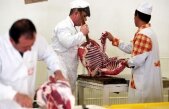 Carne de cal, în loc de carne de vită, vândută în măcelăriile din Piaţa Obor