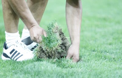 FOTO Gazonul de pe National Arena a fost groaznic. Presa franceză ne face praf