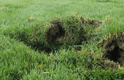 Porumboiu îi critică pe constructori: "Şi-au pus o cravată de pionier la un costum de 5.000 de euro"