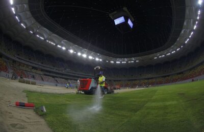 Azi începe "Operaţiunea gazonul". Varianta olandeză!