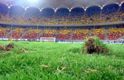 Nu toţi îşi fac griji din cauza gazonului de pe Naţional Arena: "Altele sînt tragediile, în Olanda a căzut o tribună"