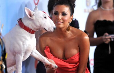 FOTO! Eva Longoria si-a rotunjit pana la perfectiune sanii!