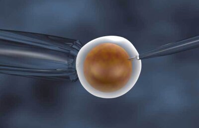 Deştepţii, vânaţi de băncile de spermă