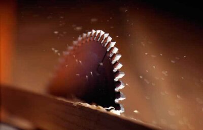 Ceea ce n-au putut să facă bărbaţii au făcut femeile