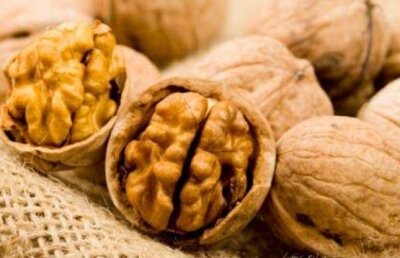Beneficiile nucilor in alimentatie