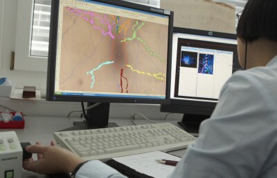 Terminator a intrat în faza de laborator: a fost creat cerebelul artificial