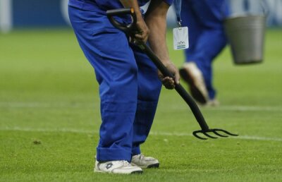 FOTO Am găsit soluţia pentru iarba de pe Naţional Arena » Băgăm spaima-n cîrtiţe :D