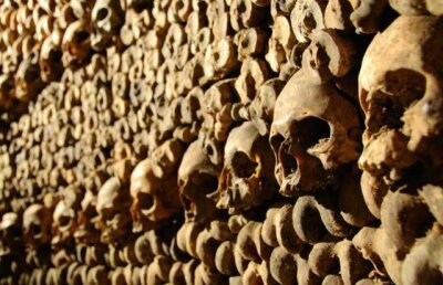 Cercetătorii au “citit” codul genetic al bacteriei care a dus la epidemia de ciumă care a ucis 50 de milioane de oameni