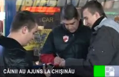 Doar 2 suporteri au aşteptat-o pe Dinamo la aeroport » Meciul cu Dacia nu va mai fi televizat