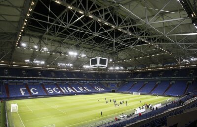 VIDEO Steliştii, lăsaţi fără grai de Auf Schalke » "E cel mai tare stadion pe care l-am văzut"