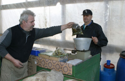 Tatăl Nadiei, în pericol! A ajuns la Urgenţe cu hemoragie digestivă