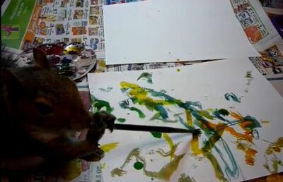 VIDEO! Vezi veverita care picteaza pe hartie!