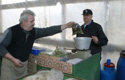 Doliu în familia unei campioane. Tatăl Nadiei Comăneci a încetat din viaţă