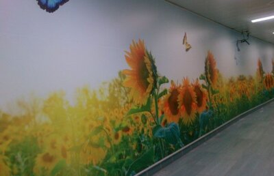 VIDEO Redecorare cu forţa la Sporting: floarea soarelui şi fluturi în locul feţelor războinice