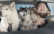 Suzuki Kizashi este cel mai bun prieten al câinilor husky