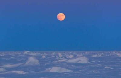 Studiu ştiinţific: Nordul îngheaţă, sudul se-ncălzeşte