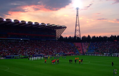 MApN: "Steaua a semnat un contract valabil pînă pe 30 iunie 2013 şi va plăti 24.400 de euro fără TVA pentru un meci"