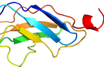 Cel mai lung cuvânt din lume. Vezi câte... zeci de mii de litere are!