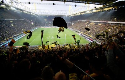 Ovidiu Ioaniţoaia despre "Adevăraţii suporteri"