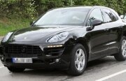 Macan a ieșit la plimbare