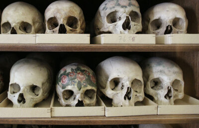 Capetele americanilor albi s-au mărit, iar feţele lor au devenit mai lungi şi mai înguste, în ultimii 200 de ani