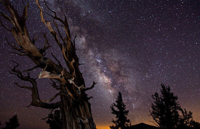 Primul film din lume realizat la o rezoluţie de patru mai mare decât cea standard, prezentat de un jurnalist american (VIDEO)