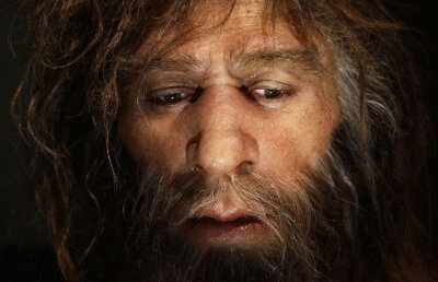 Oamenii de Neanderthal se ocupau mai mult cu treburile casnice, decât cu vânătoarea