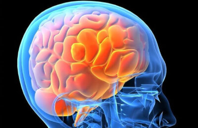 Studiu ştiinţific: creierul percepe bărbaţii ca un întreg iar femeile ca părţi ale corpului