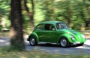 Din dragoste pentru verde