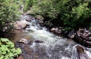 Cheile Tătarului