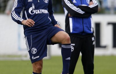 Marica explică de ce nu poate fi titular la Schalke » Care e singura şansă pentru el să prindă echipa