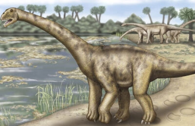 Încă o aroganţă din Franţa: Dinozaurul ţigan. recent descoperit, seamănă cu "verii" din România