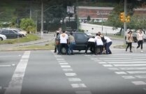 Video: Gardienii Trecerilor de Pietoni, în acțiune