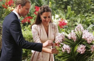 Printul William al Marii Britanii si ducesa de Cambrigde vor sa aiba doi copii