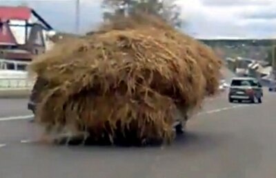 Video: Lada cu fân