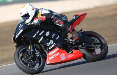 Încă două săptămîni în comă indusă pentru Vrăjitoru!