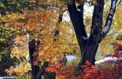 Vreme caldă urmată de ploi şi temperaturi scăzute. Vezi PROGNOZA METEO pentru pentru intervalul 9-22 octombrie