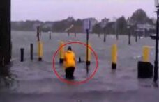 INCREDIBIL: Rechini pe străzile din New York! Adevăr sau haz de necaz? (VIDEO)